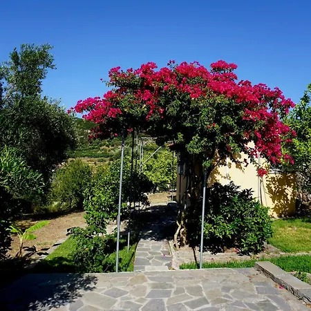 Ionian Overlook Semesterbostad *