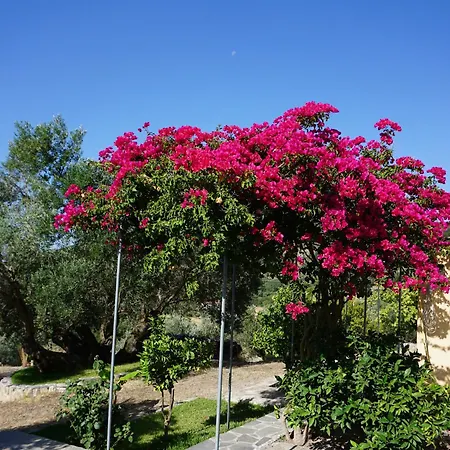 Ionian Overlook Semesterbostad